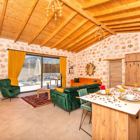 Havuzu Dışarıdan Görünmeyen Jakuzili özel Havuzlu Lüks Villa *