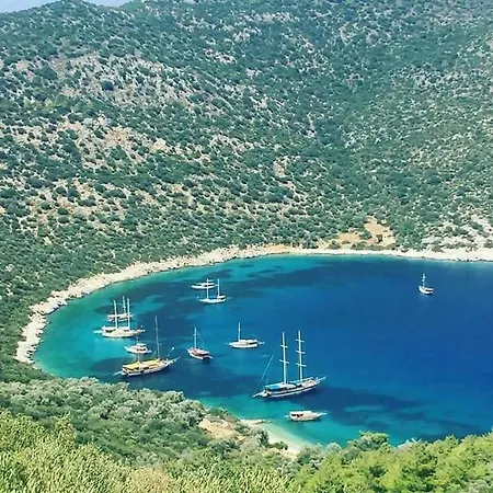 Havuzu Disaridan Goeruenmeyen Jakuzili Oezel Havuzlu Lueks Kalkan